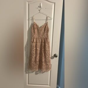 Elegant Lace Dress in Blush Pink